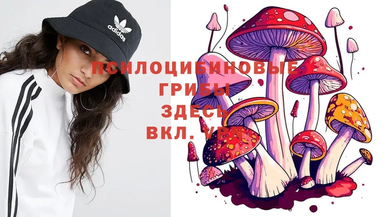 Галлюциногенные грибы Psilocybe  купить  сайты  Октябрьский 